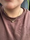 Magnetic chain heart